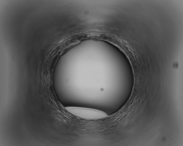 X0000100771445200806190922