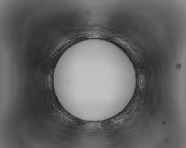 X0000100771446200806190922
