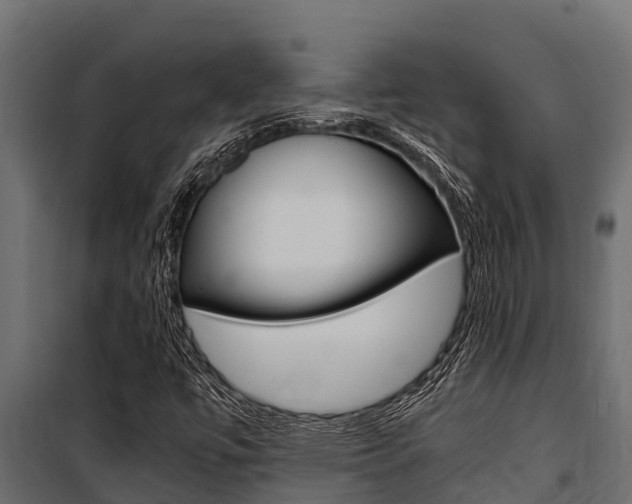 X0000100771447200806190922