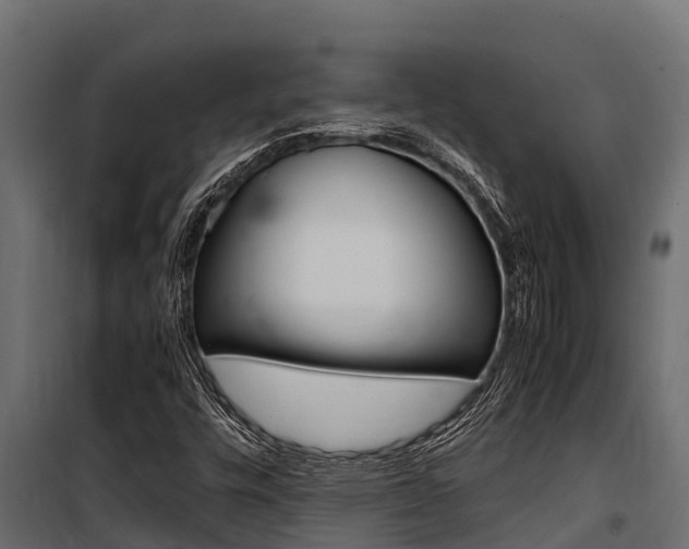 X0000100771448200806190922