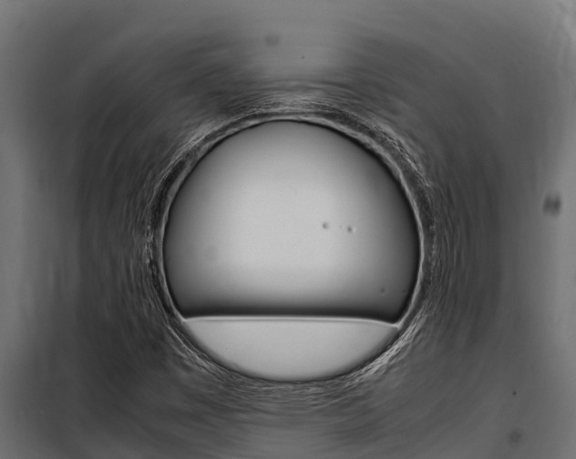 X0000100771449200806190922