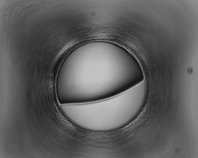 X0000100771450200806190922