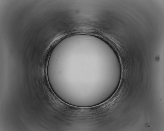 X0000100771451200806190922