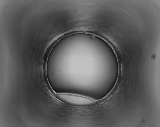 X0000100771452200806190922