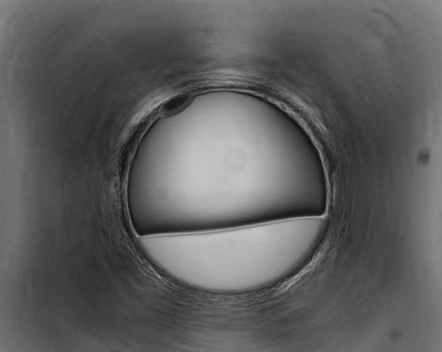 X0000100771453200806190922