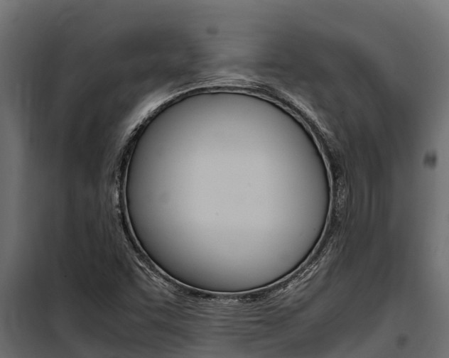 X0000100771455200806190922