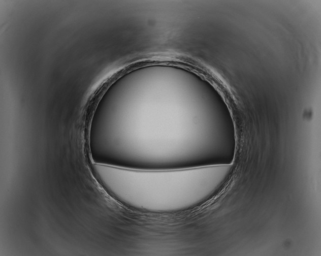 X0000100771456200806190922