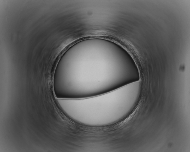 X0000100771457200806190922