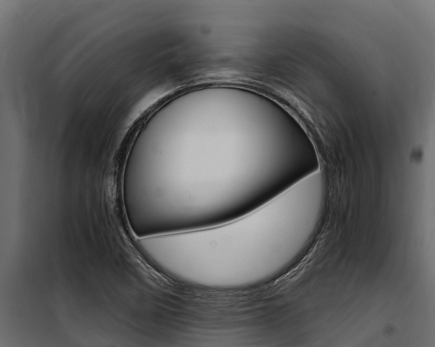 X0000100771458200806190922