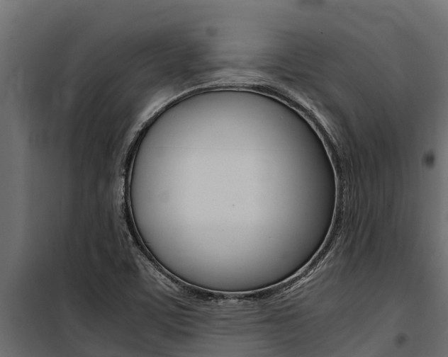 X0000100771459200806190922