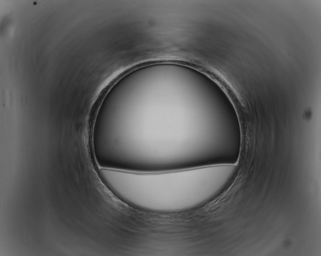 X0000100771460200806190922