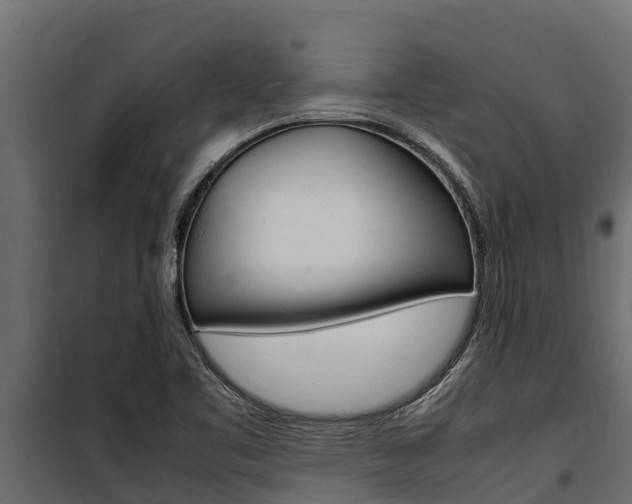 X0000100771461200806190922
