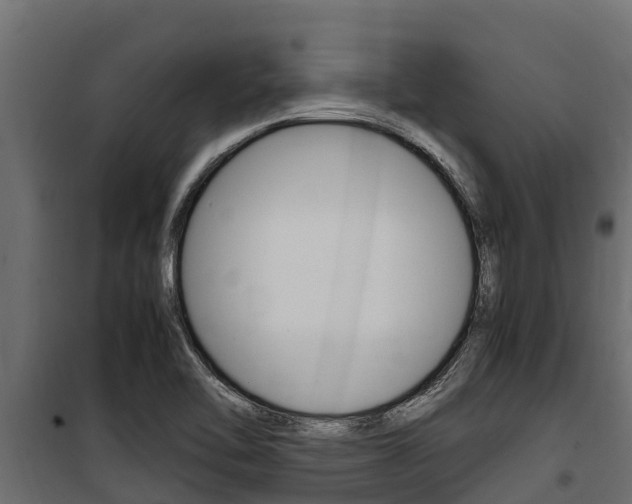 X0000100771462200806190922