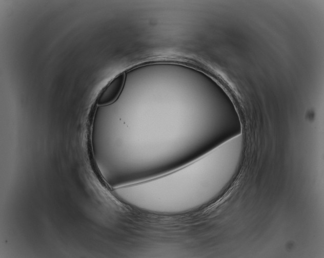X0000100771463200806190922