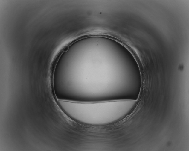 X0000100771464200806190922