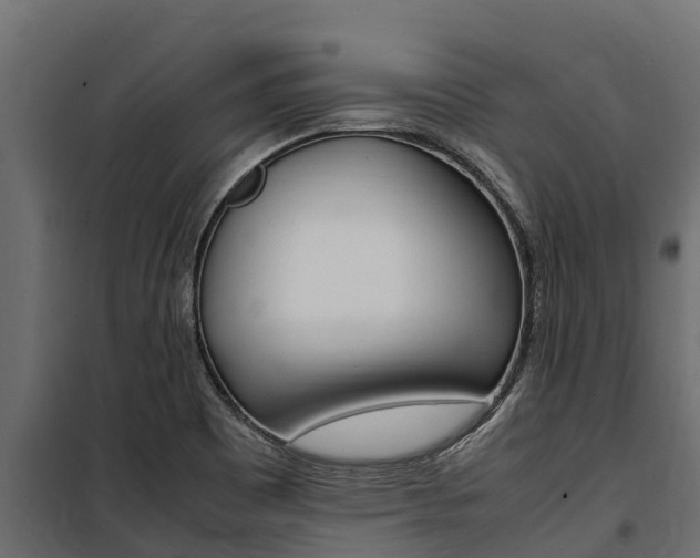 X0000100771465200806190922
