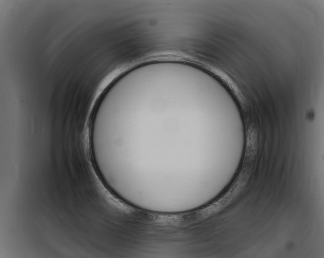X0000100771466200806190922