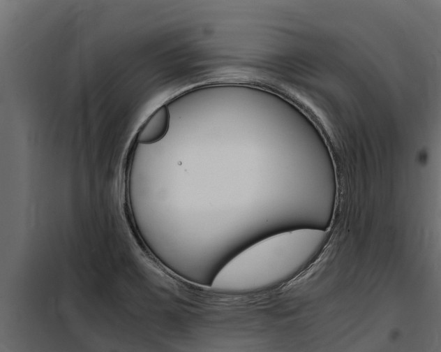 X0000100771467200806190922