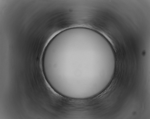 X0000100771468200806190922