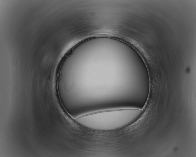 X0000100771469200806190922