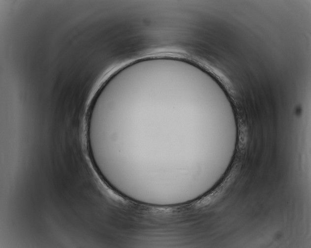 X0000100771470200806190922