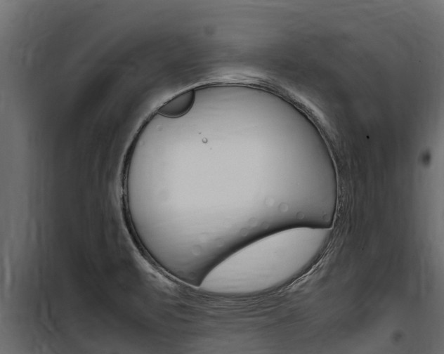 X0000100771471200806190922