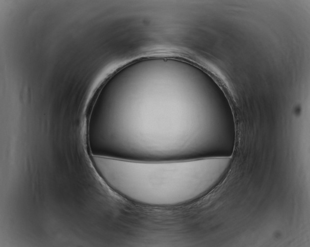 X0000100771472200806190921