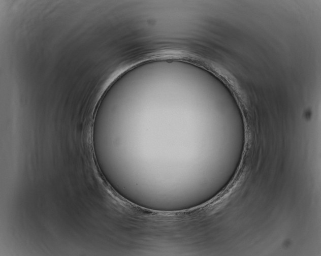 X0000100771473200806190921