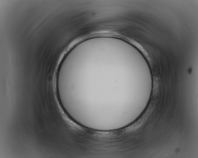 X0000100771474200806190921