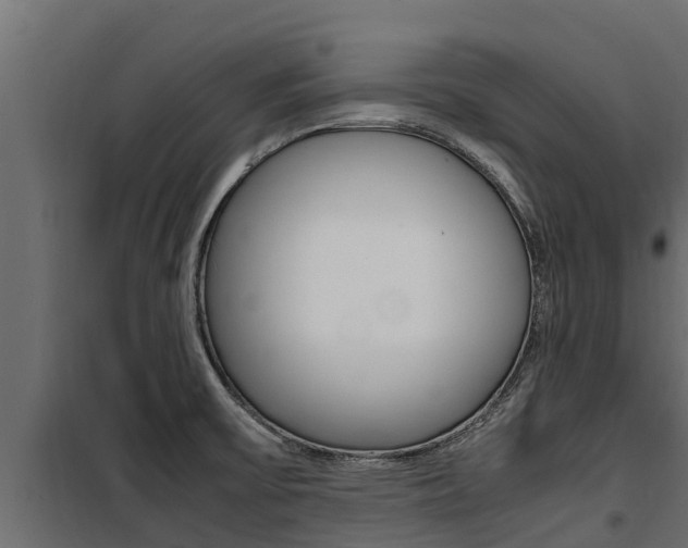 X0000100771475200806190921