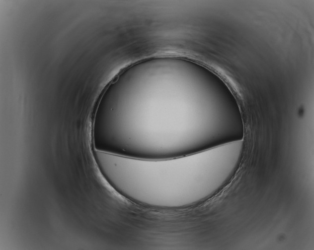 X0000100771476200806190921
