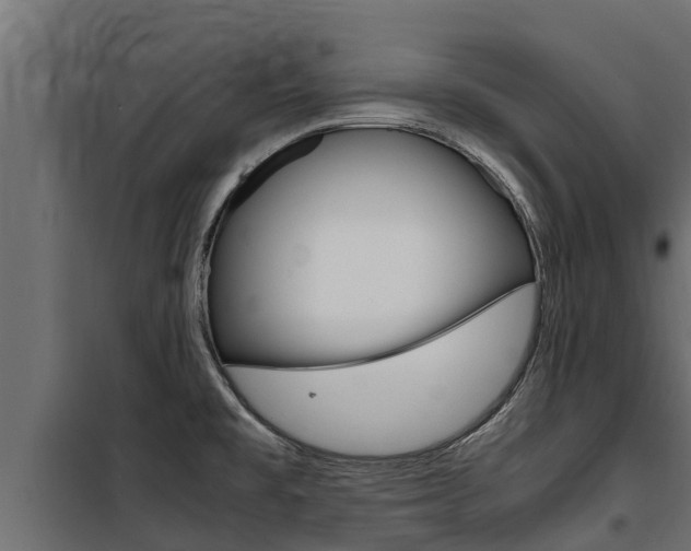 X0000100771477200806190921