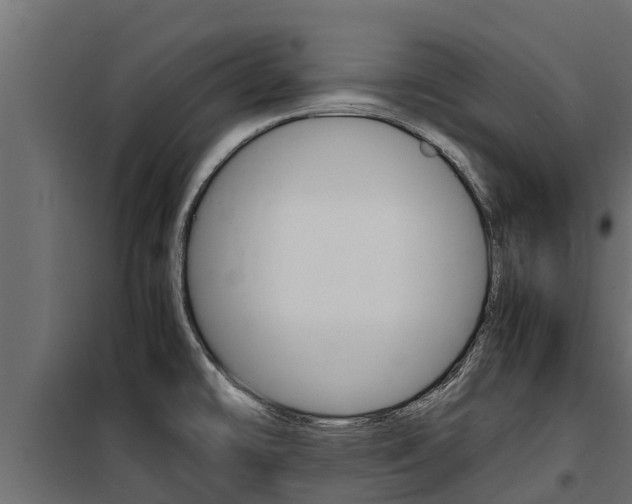 X0000100771478200806190921