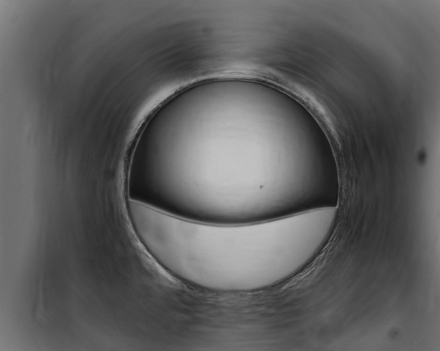 X0000100771480200806190921