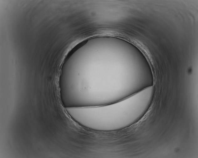X0000100771481200806190921