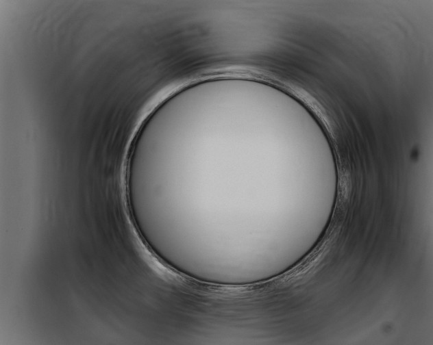 X0000100771482200806190921