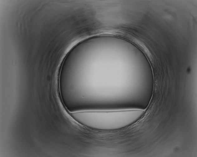 X0000100771483200806190921