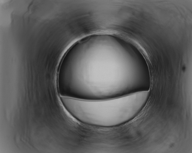X0000100771484200806190921