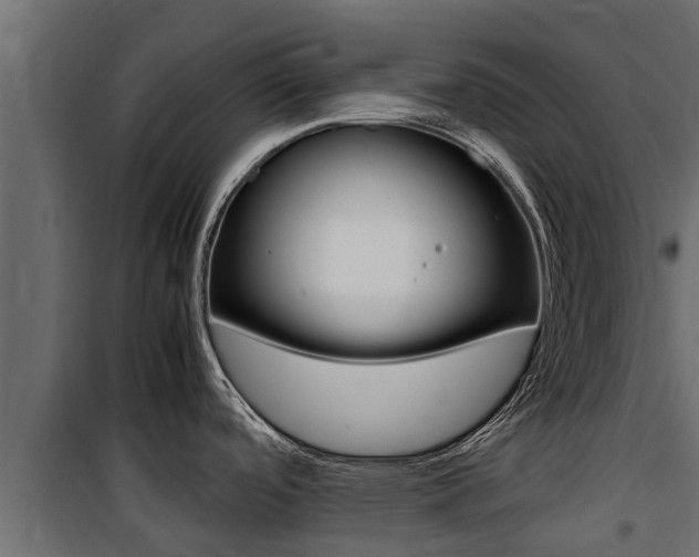 X0000100771488200806190921