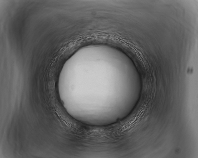 X0000100771489200806190920