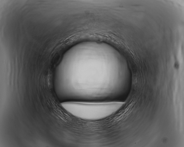 X0000100771490200806190920