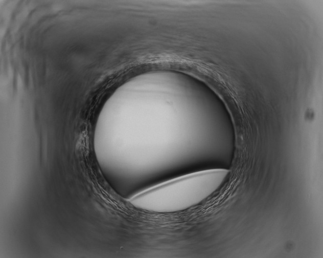 X0000100771493200806190920