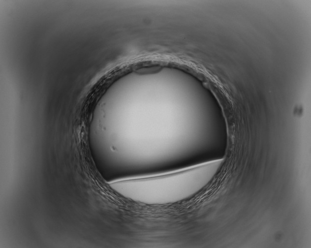 X0000100771495200806190920