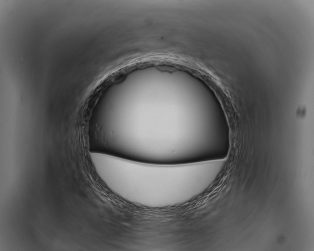 X0000100771496200806190920