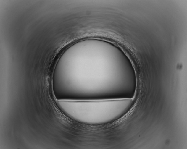 X0000100771497200806190920