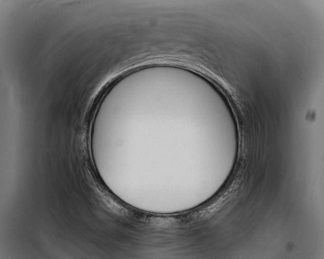 X0000100771498200806190920