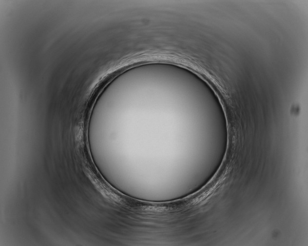 X0000100771499200806190920