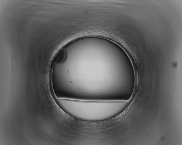 X0000100771500200806190920