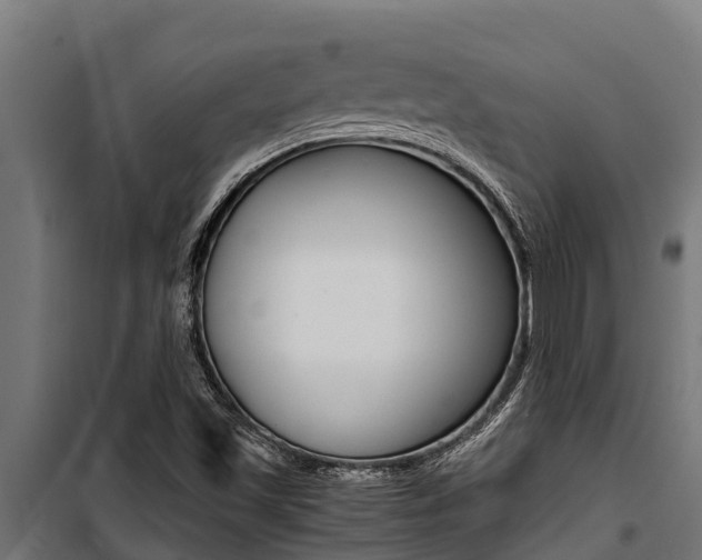 X0000100771501200806190920