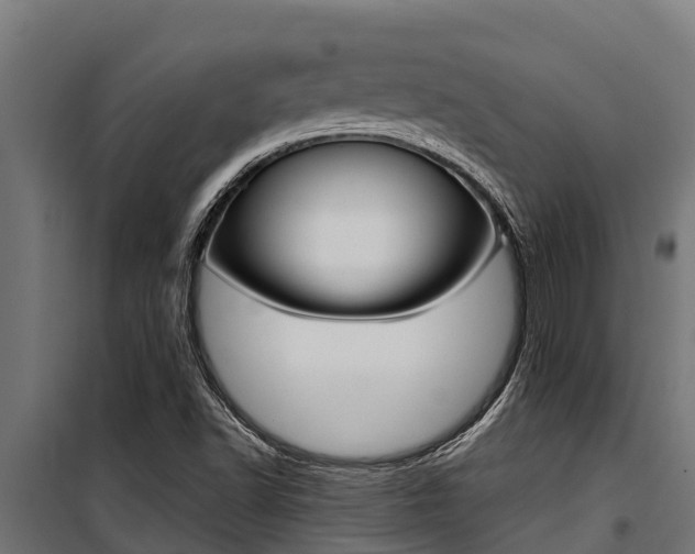 X0000100771502200806190920
